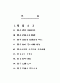 [마케팅] 삼성쉐르빌 중국진출 2페이지