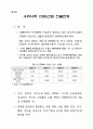 CDMA 해외진출 계획 연구 12페이지