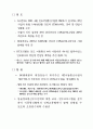 CDMA 해외진출 계획 연구 15페이지