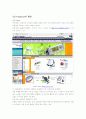 (마케팅.경영.E-business 사례)아이리버사의 현황과 전략 9페이지