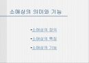 우리나라 소매업에 대한 연구 3페이지