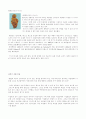 [미술대]서양미술사 총망라(미술사 서양미술) 2페이지
