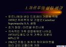 프랑스의 까르푸의 경영전략 - 마케팅 4페이지