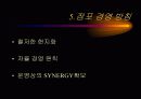 프랑스의 까르푸의 경영전략 - 마케팅 8페이지