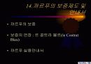 프랑스의 까르푸의 경영전략 - 마케팅 17페이지