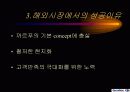 프랑스의 까르푸의 경영전략 - 마케팅 22페이지