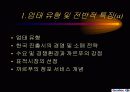 프랑스의 까르푸의 경영전략 - 마케팅 28페이지