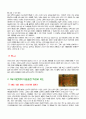 난화기 (The Scribbling Stage) 7페이지