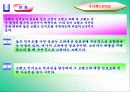 [마케팅]기업브랜드의 인터넷쇼핑몰 브랜드확장에 관한 연구 10페이지