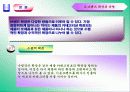 [마케팅]기업브랜드의 인터넷쇼핑몰 브랜드확장에 관한 연구 12페이지