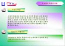 [마케팅]기업브랜드의 인터넷쇼핑몰 브랜드확장에 관한 연구 13페이지