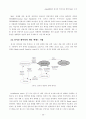 cdma2000의 실시간 서비스를 위한 MAC 구조 5페이지