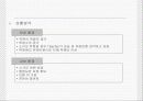 사업계획서 실례.ppt 13페이지