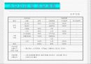 사업계획서 실례.ppt 19페이지