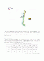 한국-칠레 FTA 효과   (자유무역협정 국제무역 국제통상 무역 wto 8페이지