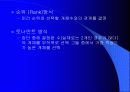 Genetic algorithm 5페이지