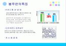 마케팅조사및전략도출 기업사례 4페이지