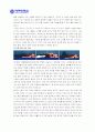 자세교정 방법 5페이지