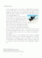 차세대전투기 사업 5페이지