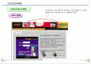 인터넷마케팅과 실무사례연구 21페이지