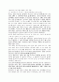 삼성전자와 현대전자 기업분석 비교연구 (기업경영 경영전략 삼성 현대 경영 19페이지