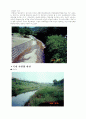 하천의 직강화와 콘크리트화로 인한 자연 생태계훼손의 해결방안 10페이지