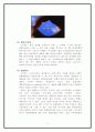 스카이 광고분석 (광고전략 광고 SK 이동통신 소비자행동 마케팅전략 경영 6페이지