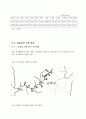 [환경지리]금호강의 어종의 수와 수질과의 관계 9페이지
