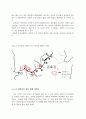 [환경지리]금호강의 어종의 수와 수질과의 관계 12페이지
