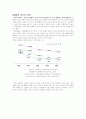 N세대 마케팅 4페이지