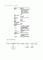 섬유의 종류와 특성 14페이지