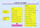 성공적인 ERP 도입을 위한 경영자의 역할 8페이지