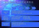 성공적 ERP 도입을 위한 프로젝트 리더의 역할 3페이지