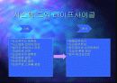 성공적 ERP 도입을 위한 프로젝트 리더의 역할 5페이지