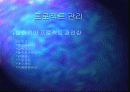 성공적 ERP 도입을 위한 프로젝트 리더의 역할 8페이지