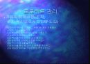 성공적 ERP 도입을 위한 프로젝트 리더의 역할 14페이지