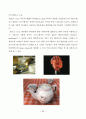 3D Computer Graphic Rendering 기법에 따른 조명 연구 34페이지