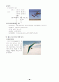 패러글라이딩 기초 2페이지
