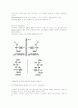 단당류 [monosaccharide, 單糖類] 4페이지