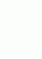 [사회문제]호주제도의 폐지에 대하여(논문) 19페이지