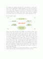 백화점간의 유통경쟁(롯데백화점, 현대백화점의 사례비교연구) 5페이지
