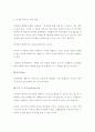 인터넷 비즈니스란 4페이지