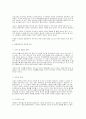 행정정보화의 실태와 그 개선방향 6페이지