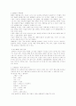 채팅 문화에 대하여 2페이지