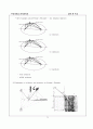  The Propagation of Light 6페이지