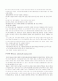 의사결정지원시스템(DSS Decision Support System)사례 4페이지
