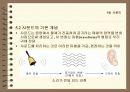 사운드의 개요 기본개념 및 저장과 고품질화와 오디오시스템 입체음향 8페이지