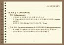 멀티미디어 데이터의 처리 11페이지
