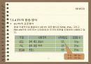 비디오의 개요 영상처리,압축/복원,파일포멧,편집 소프트웨어 12페이지