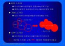 Database System 개념 및 구조 5페이지